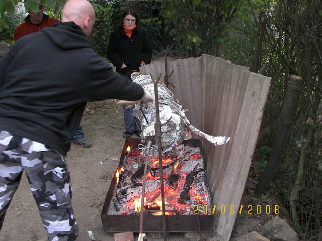 100_9555.JPG