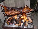 P1030780