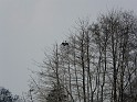 P1050233
