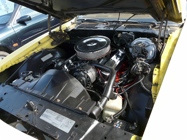 P1080302.JPG