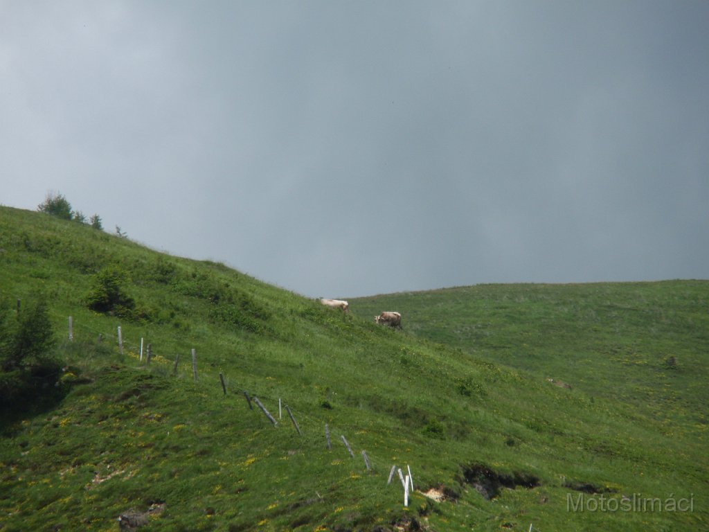 2010-07-05-13h05m31P7050652.JPG