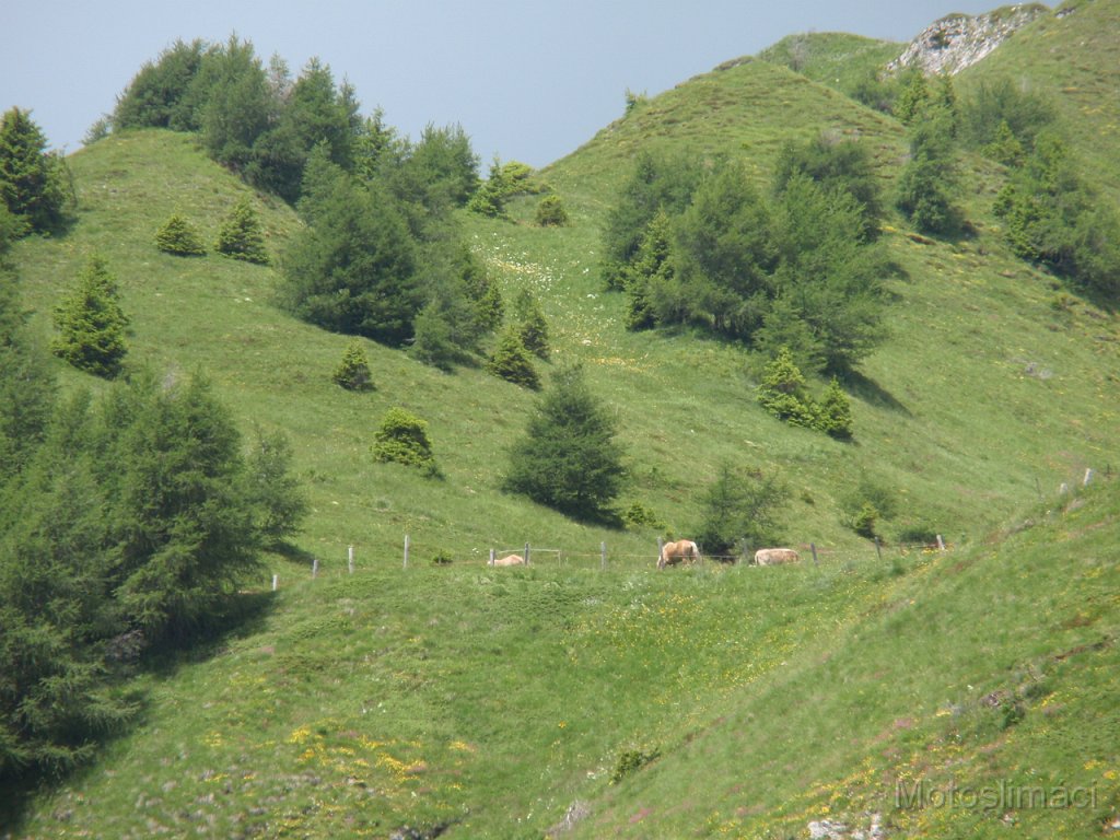 2010-07-05-13h13m38P7050655.JPG