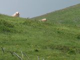 2010-07-05-13h06m50P7050654