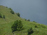 2010-07-05-13h15m31P7050659