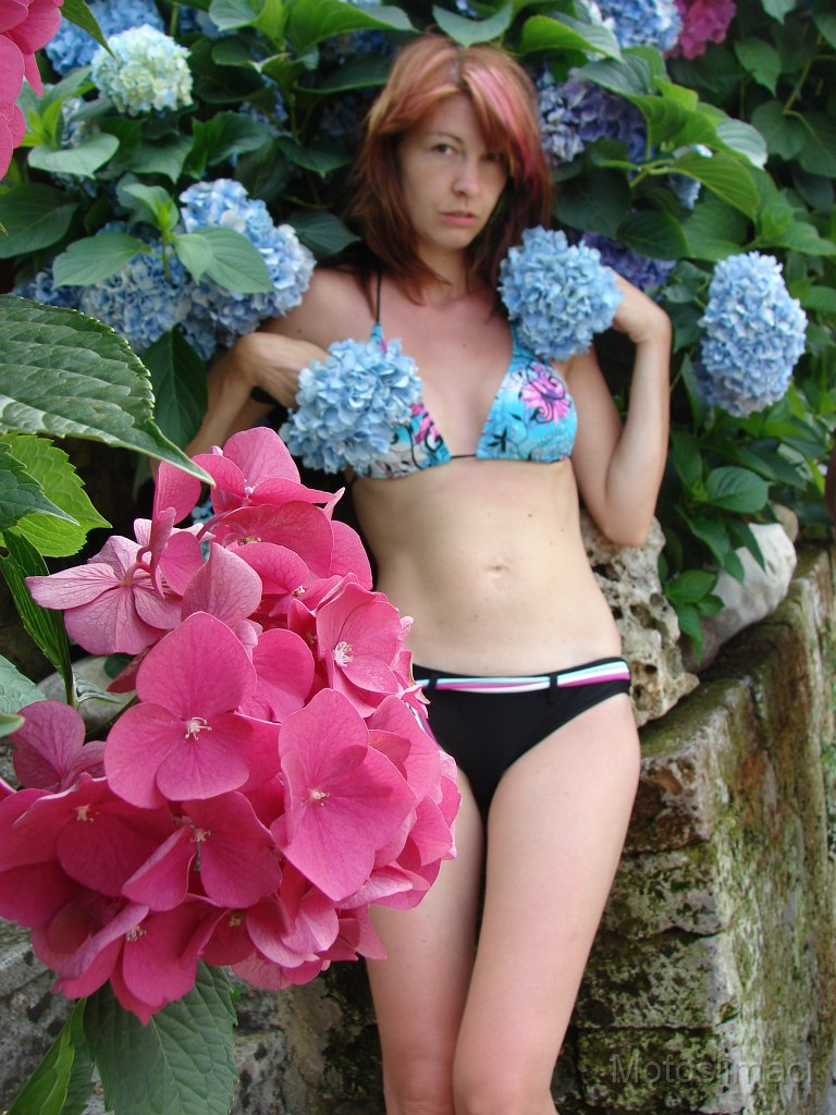 2010-07-06-15h58m43DSC05530.JPG