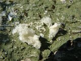 2010-07-06-09h54m37DSC05394