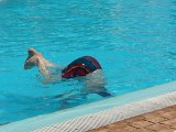 2010-07-06-13h09m21DSC05469