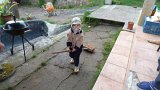 Img_2011-04-29-18-19-19