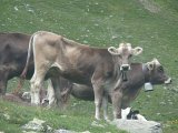 Img_2011-07-03-12-11-48