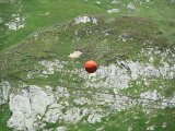 Img_2011-07-04-14-39-06
