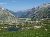 Img_2011-07-06-10-43-45