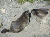Img_2011-07-06-11-18-19