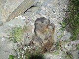 Img_2011-07-06-11-18-35