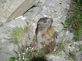Img_2011-07-06-11-18-41