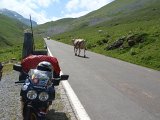 Img_2011-07-09-14-00-47
