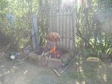 Img_2011-08-26-16-44-28