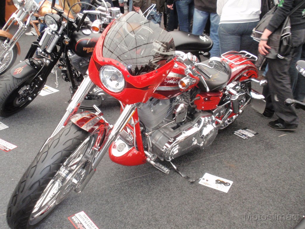 P3100382.JPG