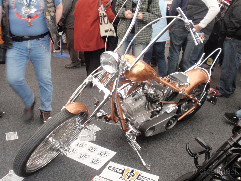 P3100384.JPG