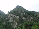 P6030519